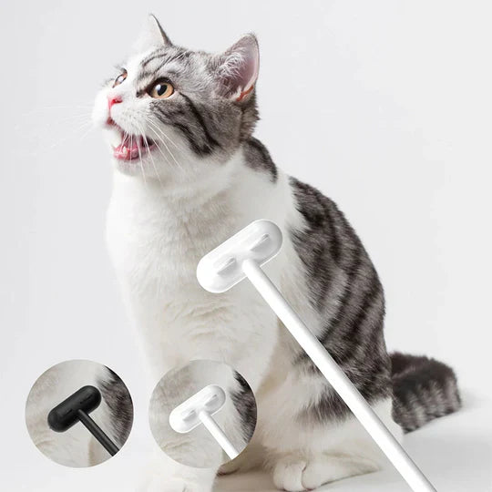 Innovative Massage Brush For Pets
