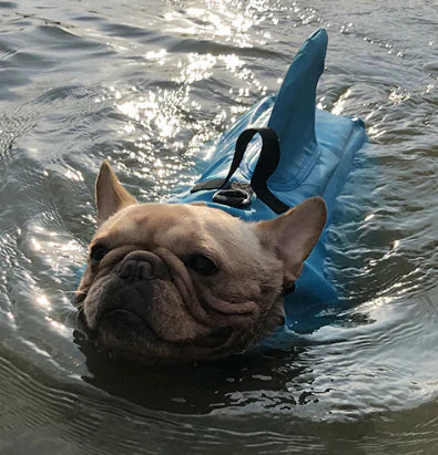 Life Jacket For Dogs