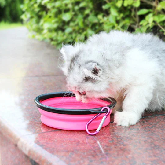 2 - In-1 Portable Water And Food Bottle For Pets