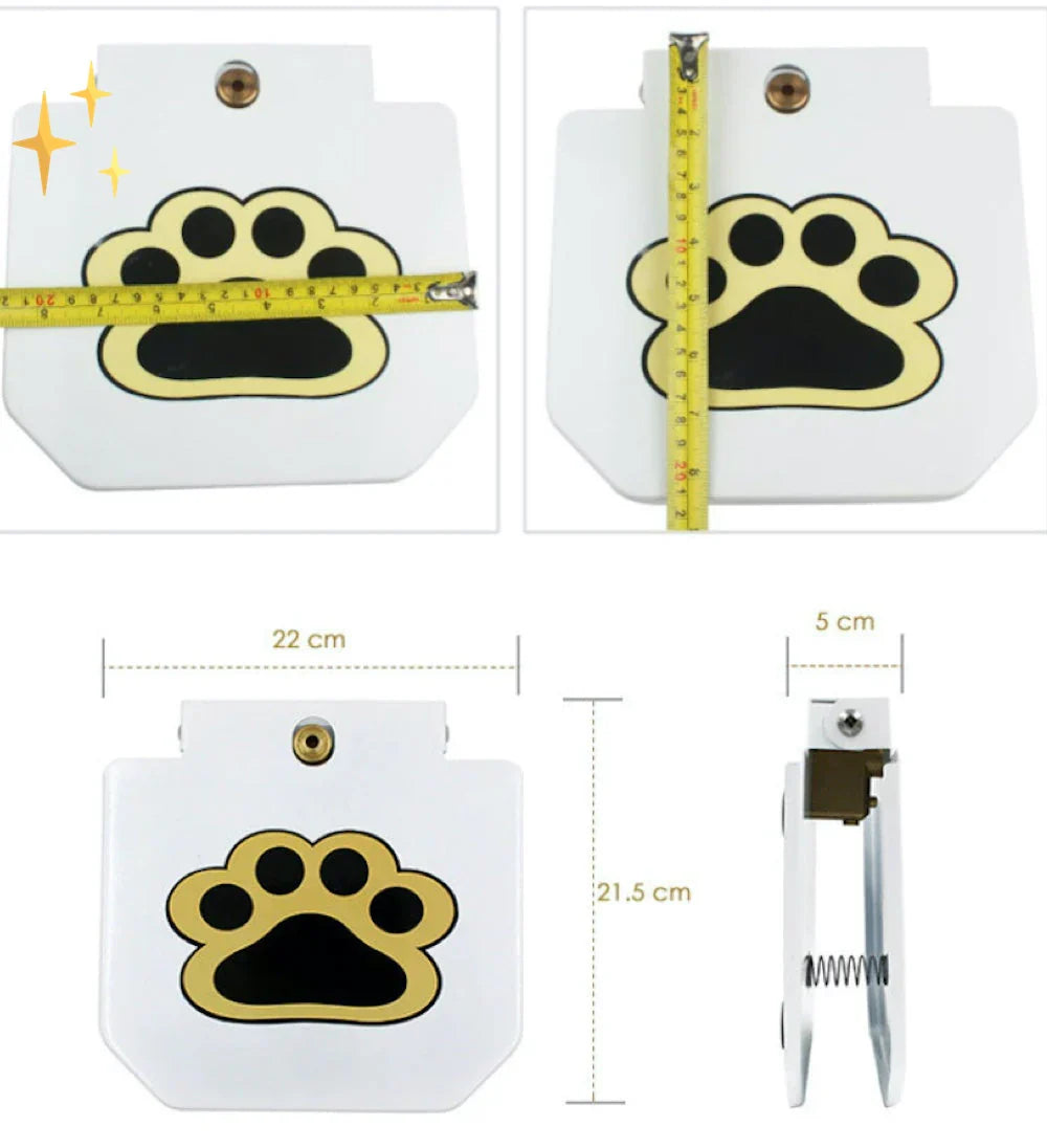 Interactive Dog Toy With Spray Fountain