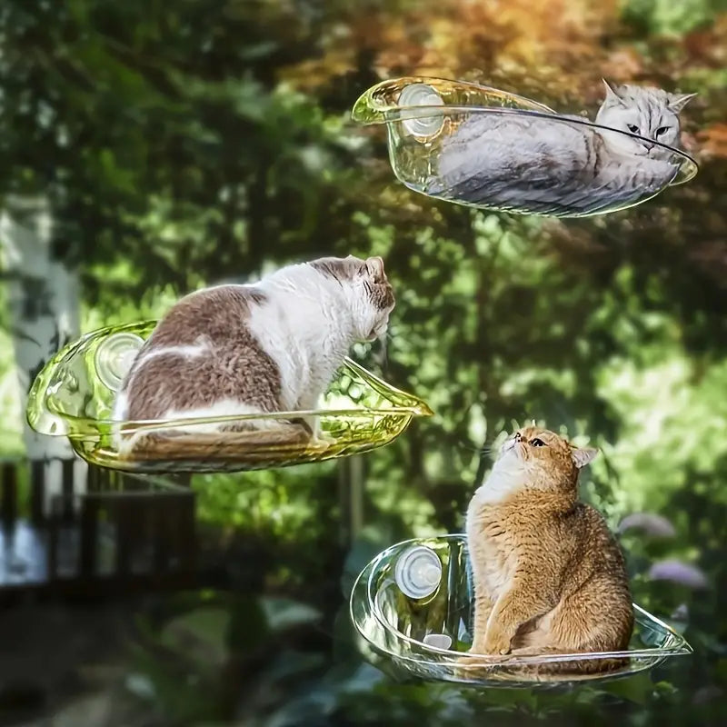 (Too Expensive) Window Bowl Cats