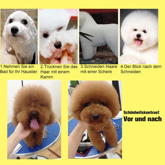 Hair Cutting Scissors For Dogs - Precise Coat Care