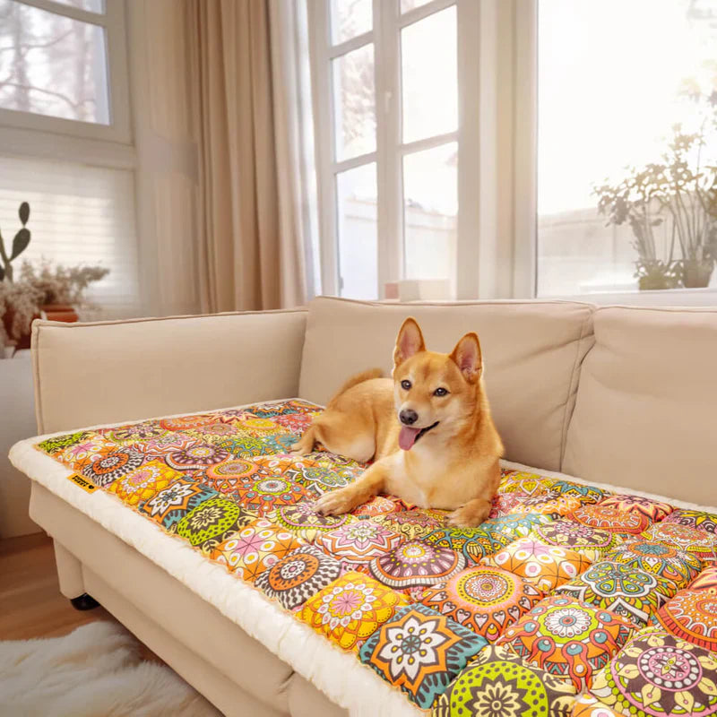 Comfortable Pet Sofa Protection