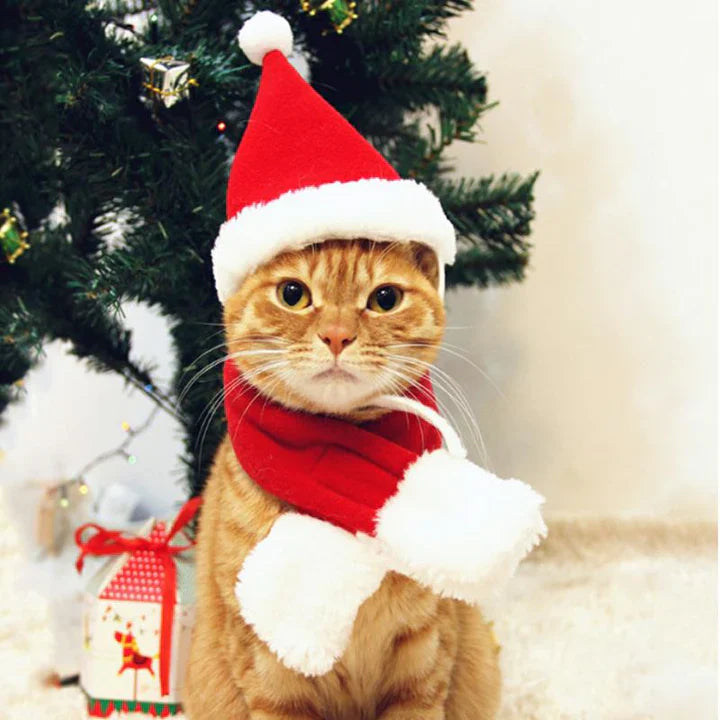 Christmas Hat with Scarf for Pets
