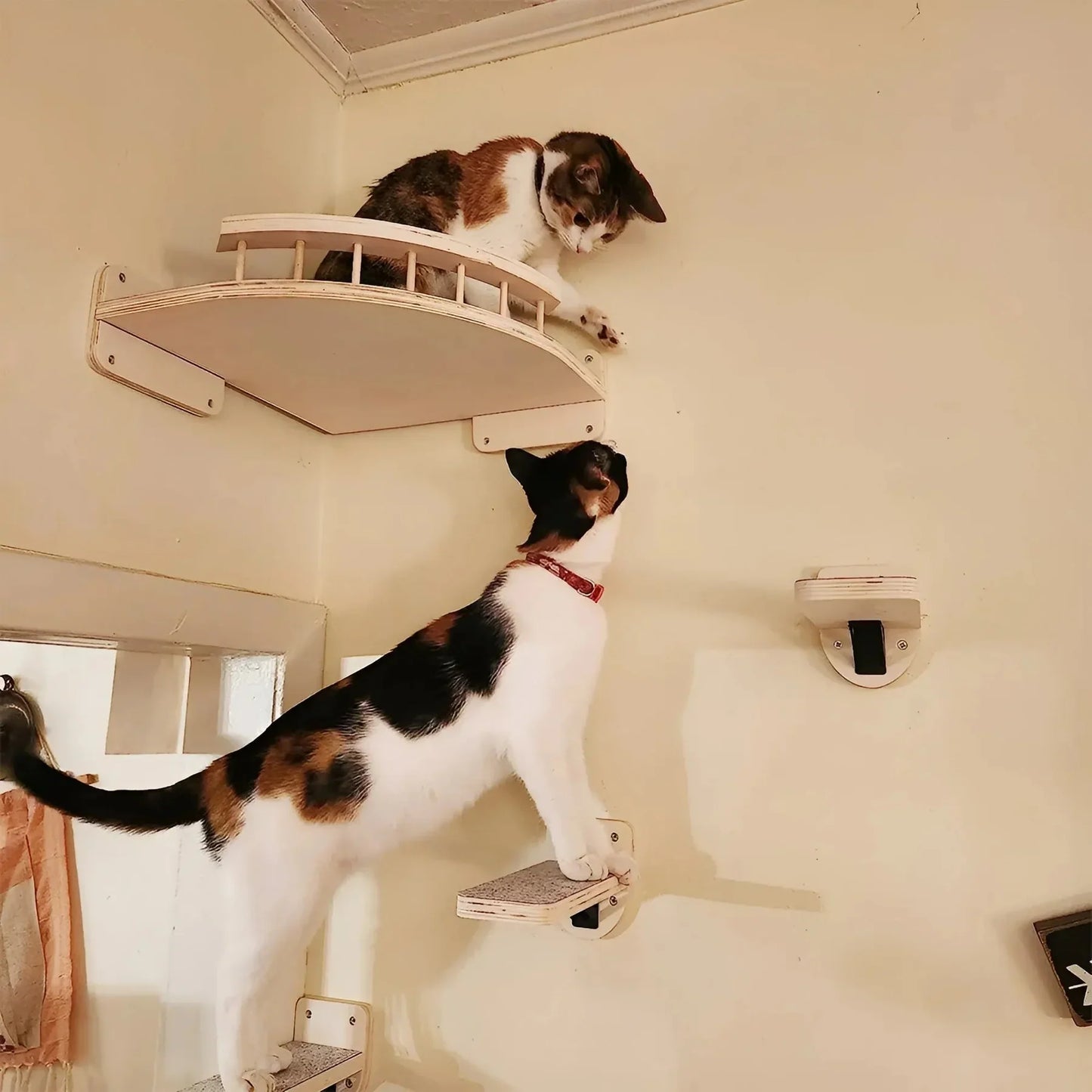 Customisable Cat Wall Scratching Post