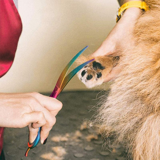 Hair Cutting Scissors For Dogs - Precise Coat Care