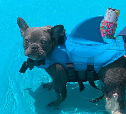 Life Jacket For Dogs