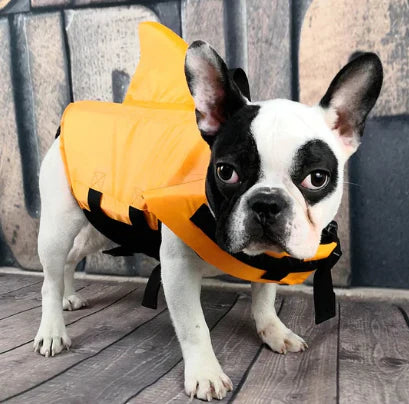 Life Jacket For Dogs