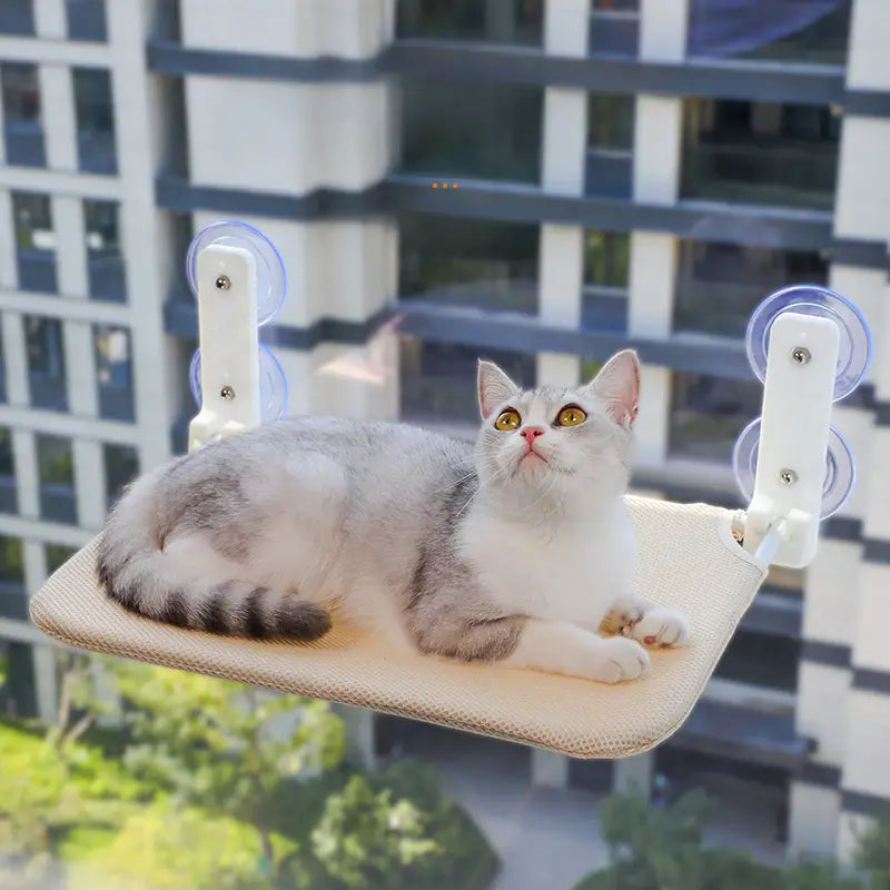 Folding Suction Cup Hammock For Cats