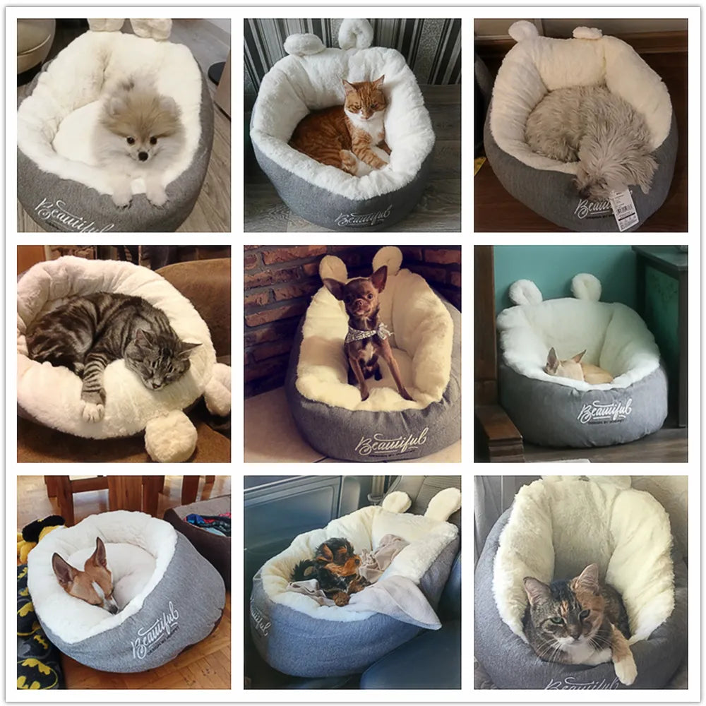 Cosy Cat Bed With Ear Design - Soft And Comfortable For Cats And Small Dogs