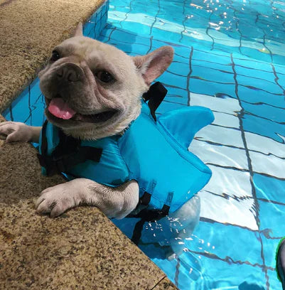 Life Jacket For Dogs