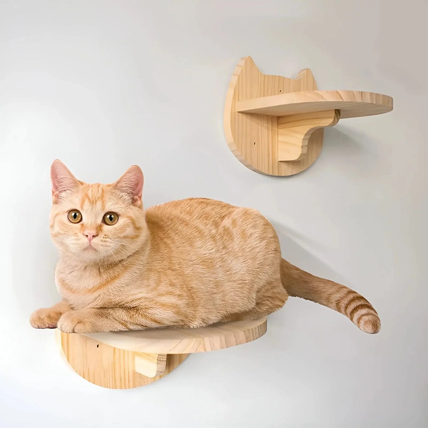 Customisable Cat Wall Scratching Post