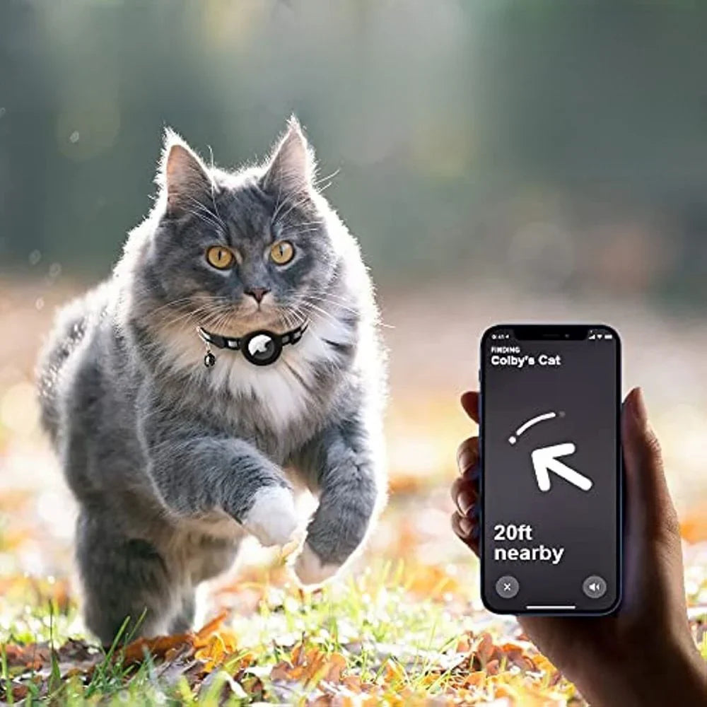 Cat Collar With Safety Clip