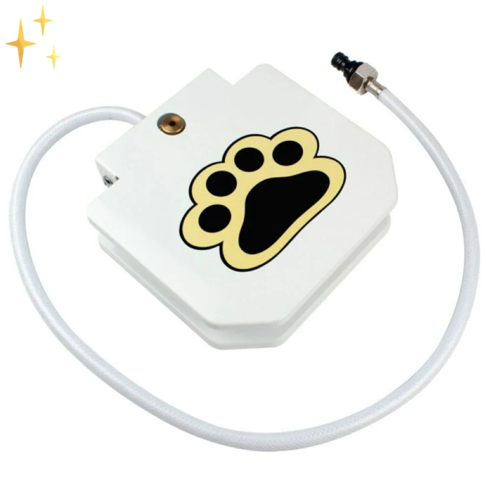 Interactive Dog Toy With Spray Fountain