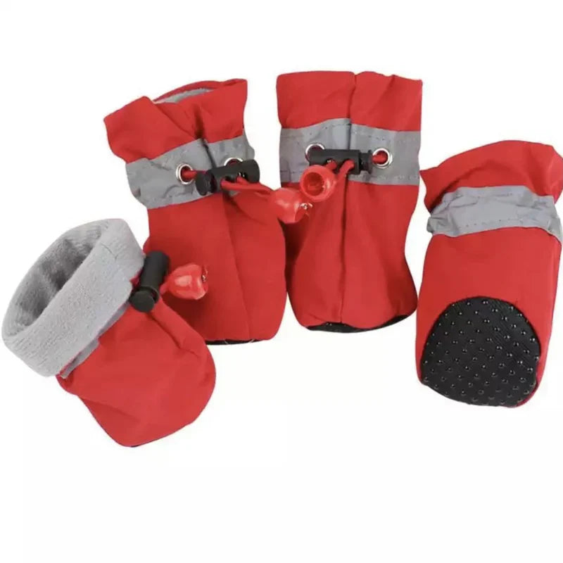 Dog Paw Boots For The Winter