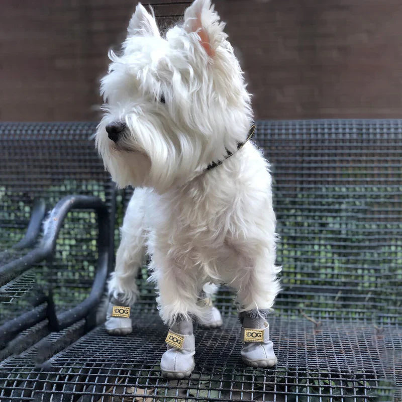 Cosy Dog Snow Boots With A Leather Look