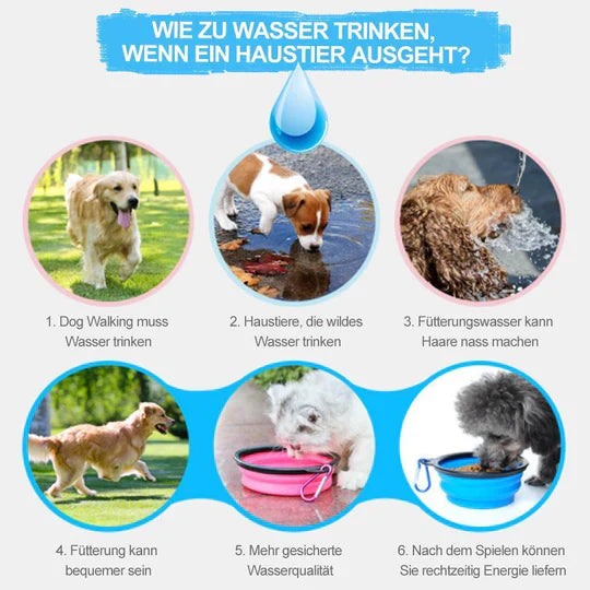 2 - In-1 Portable Water And Food Bottle For Pets