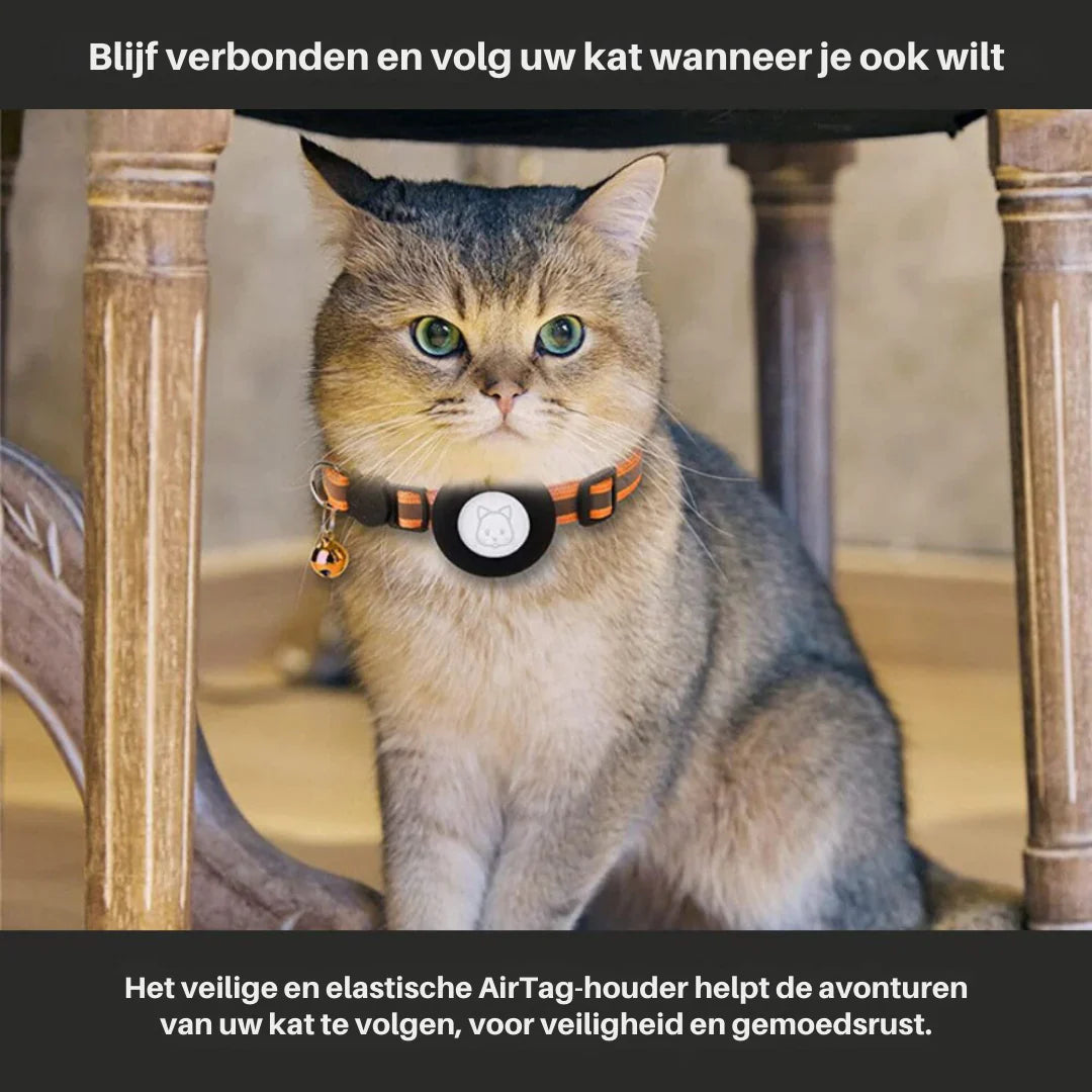 Cat Collar With Safety Clip