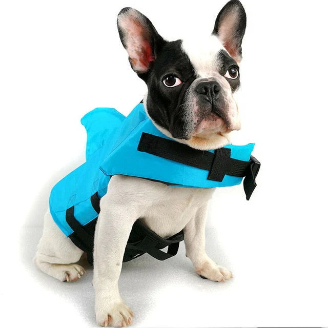 Life Jacket For Dogs