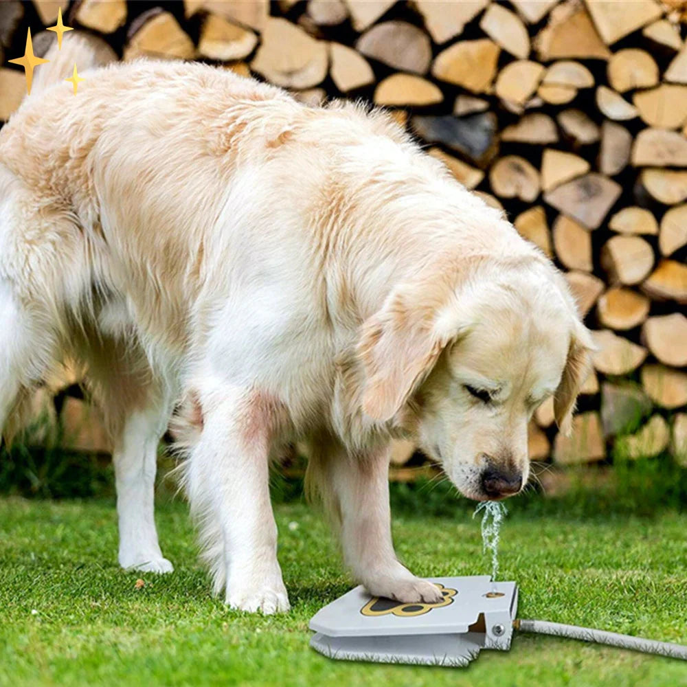 Interactive Dog Toy With Spray Fountain