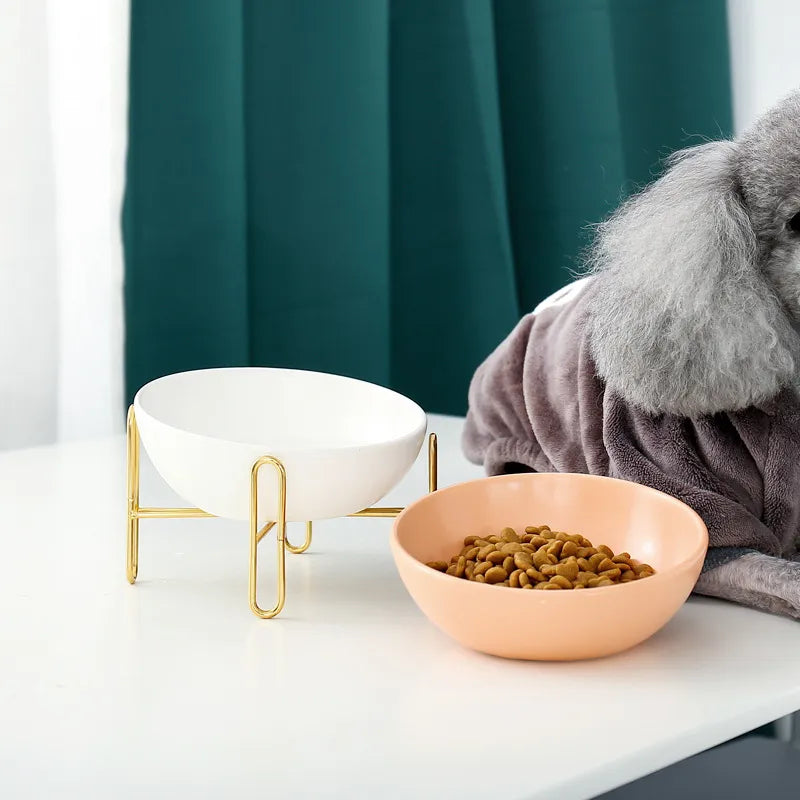 Elevated Food Bowl For Dogs And Cats - Stylish Design With Metal Stand