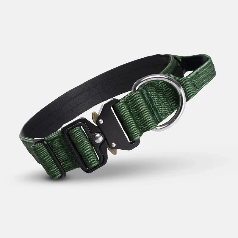 Practical Dog Collar With Handle For Better Control