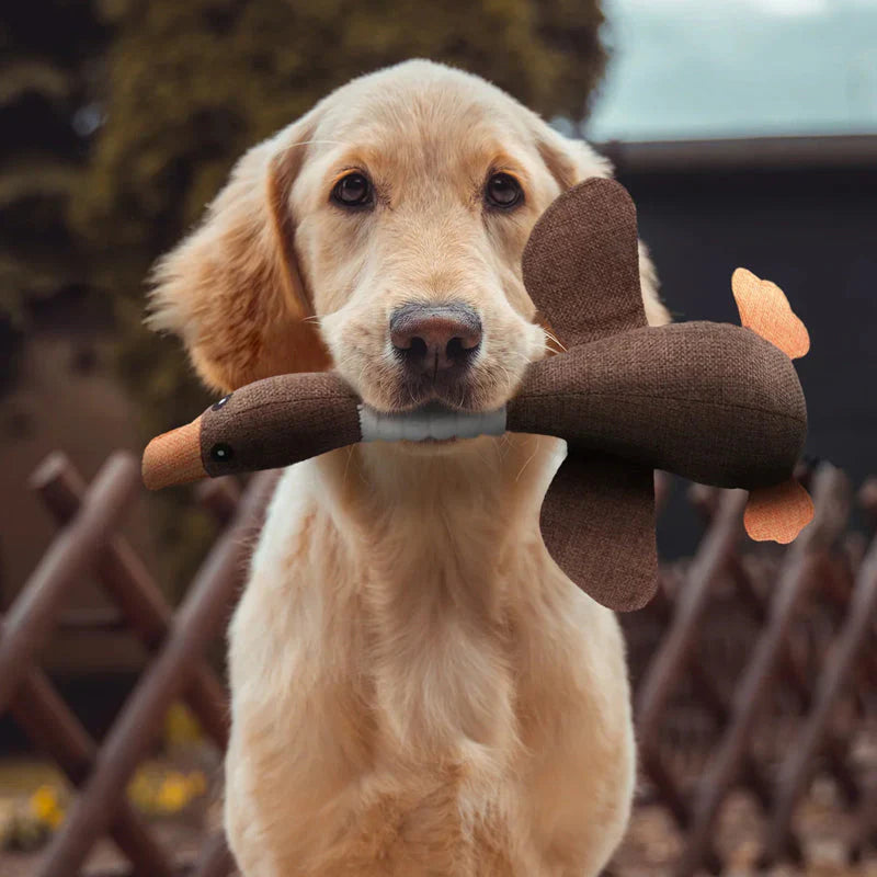 Robust Dog Toy (2 for 1 Offer)