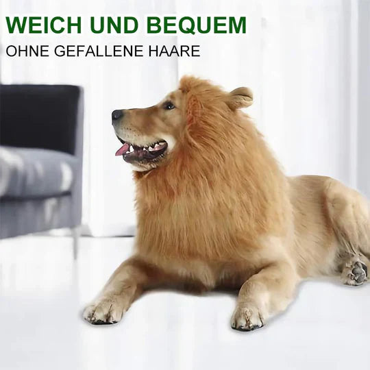 Lion's Mane Dog Costume