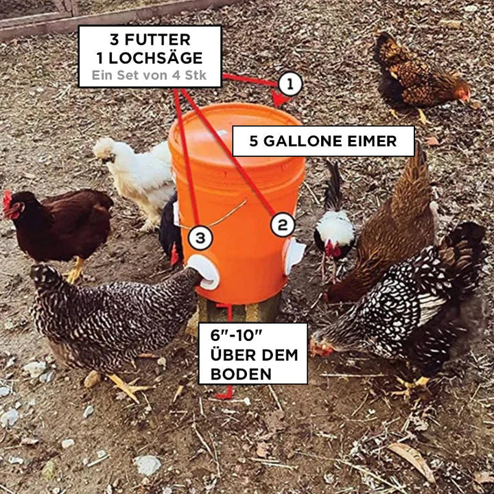 Self - Sufficient Chicken Feed System