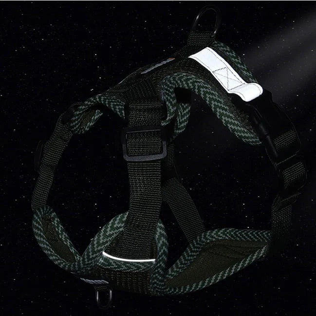Reflective Dog Harness With Lead For Small Dogs