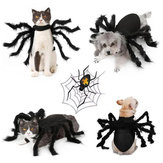 Creepy Spider Costume For Pets