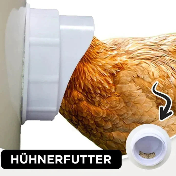 Self - Sufficient Chicken Feed System