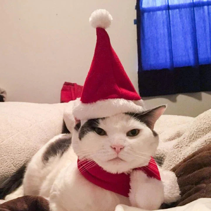Christmas Hat with Scarf for Pets