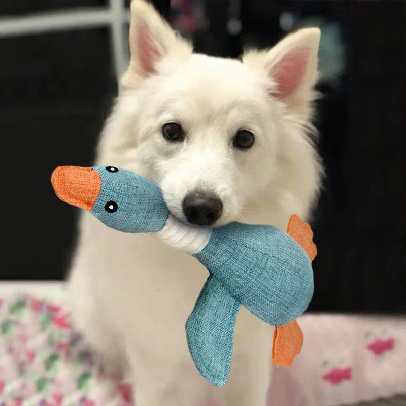 Robust Dog Toy (2 for 1 Offer)