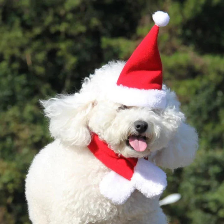 Christmas Hat with Scarf for Pets