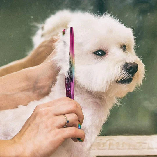 Hair Cutting Scissors For Dogs - Precise Coat Care