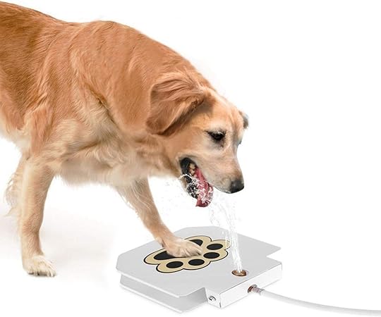 Interactive Dog Toy With Spray Fountain