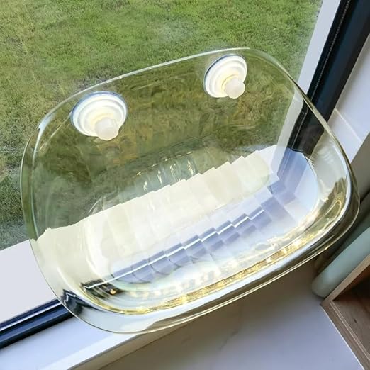 (Too Expensive) Window Bowl Cats