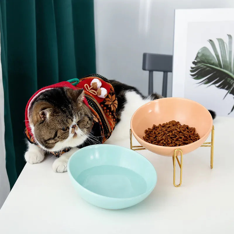 Elevated Food Bowl For Dogs And Cats - Stylish Design With Metal Stand