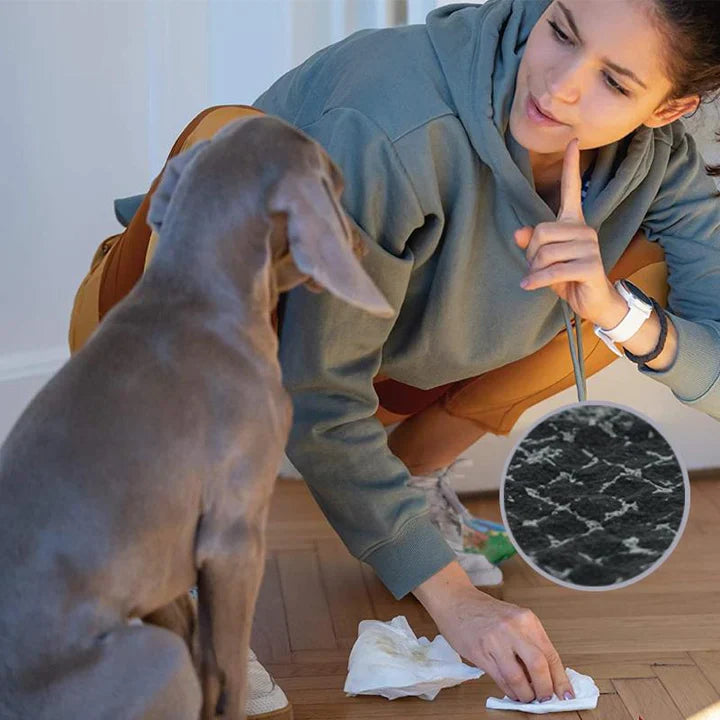 Carbon Pet Training Pads - 50 Pieces