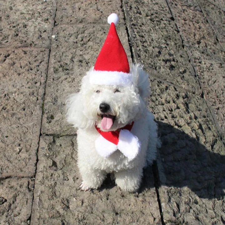 Christmas Hat with Scarf for Pets