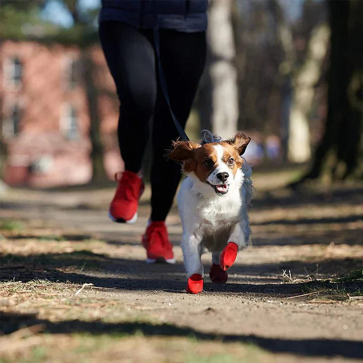 Waterproof Dog Boots