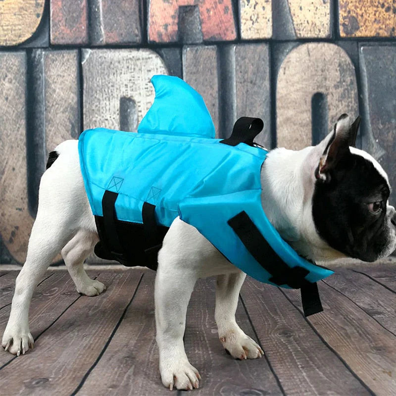 Life Jacket For Dogs