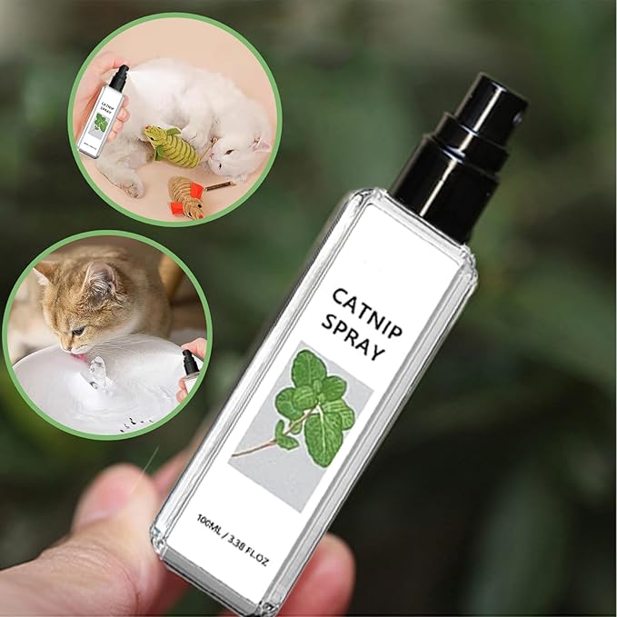 Silver Wine Cat Spray
