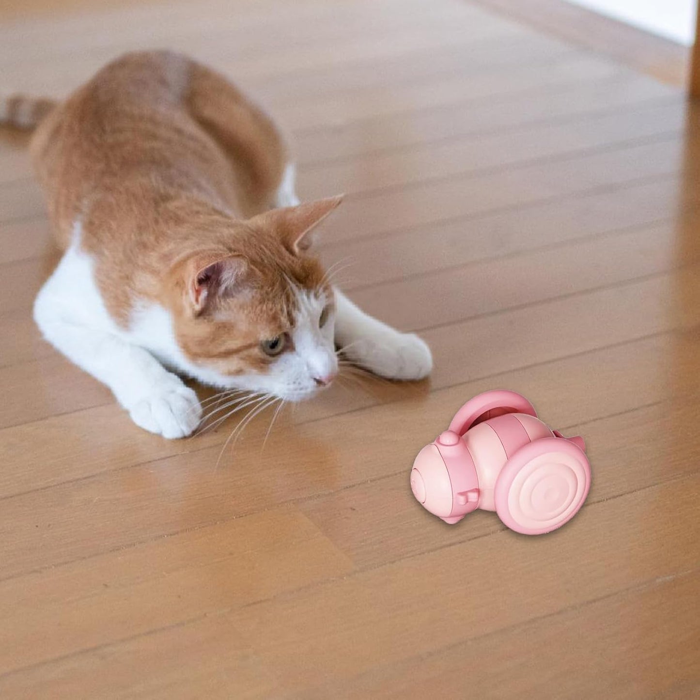 Remote - Controlled Cat Toy