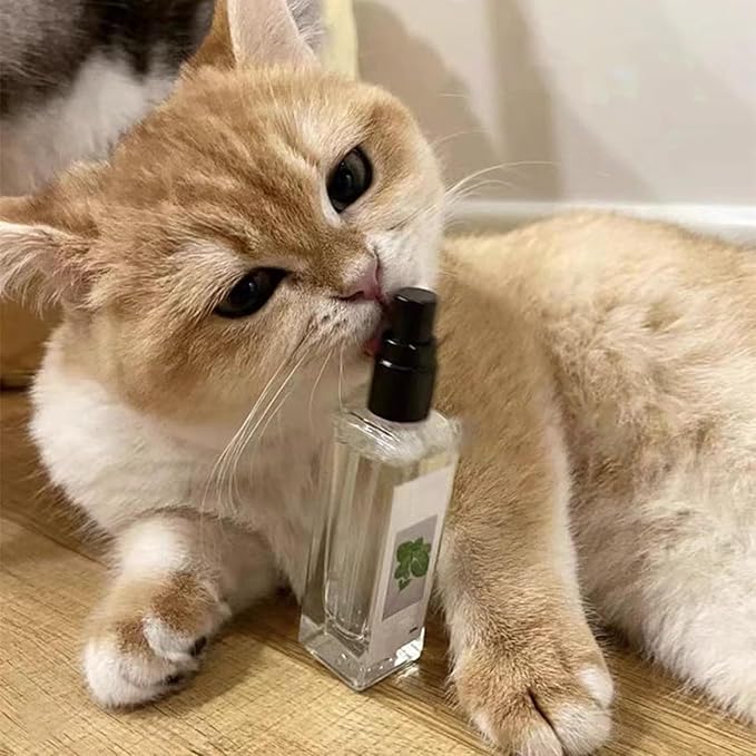 Silver Wine Cat Spray