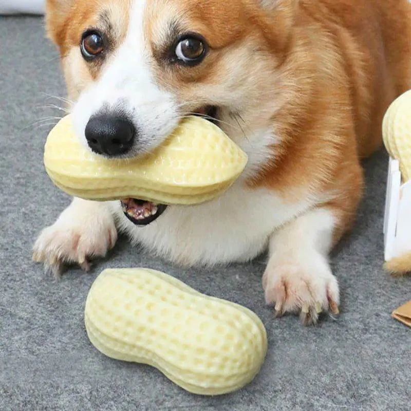 Dog Toy In Peanut Shape - Chew Toy With Sound Hole For Dogs