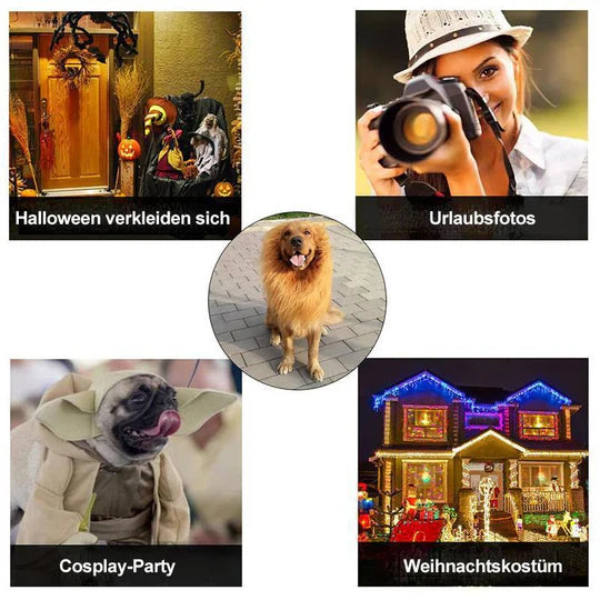 Lion's Mane Dog Costume