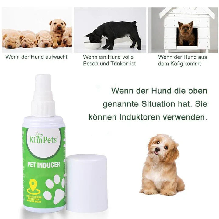 Instructions For The Targeted Placement Of The Pet Toilet