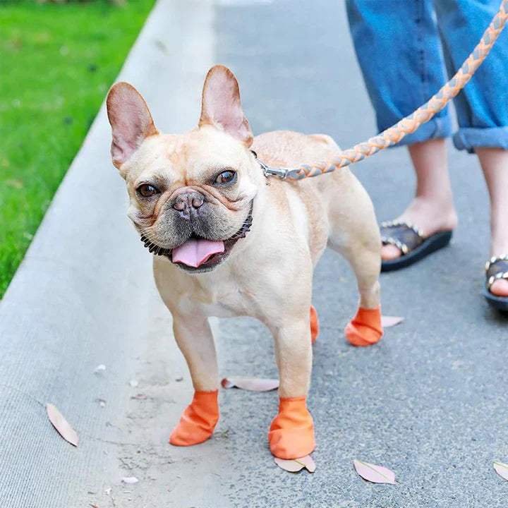 Waterproof Dog Boots